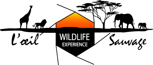 logo WILDLIFE net